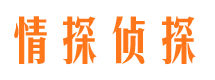 镇海侦探公司